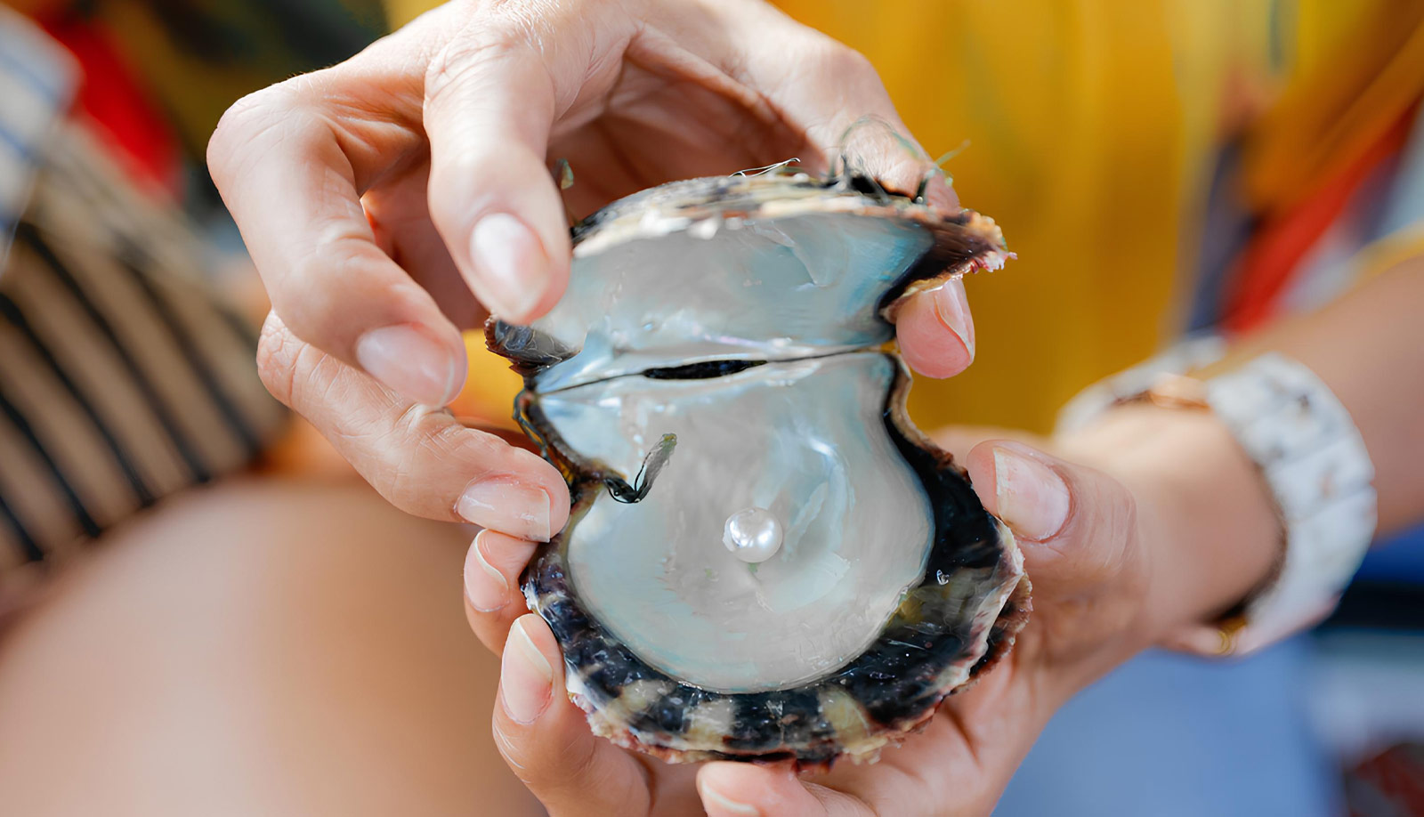 A treasure you can touch, a memory you can keep or A treasure you can wear, a memory you can cherish