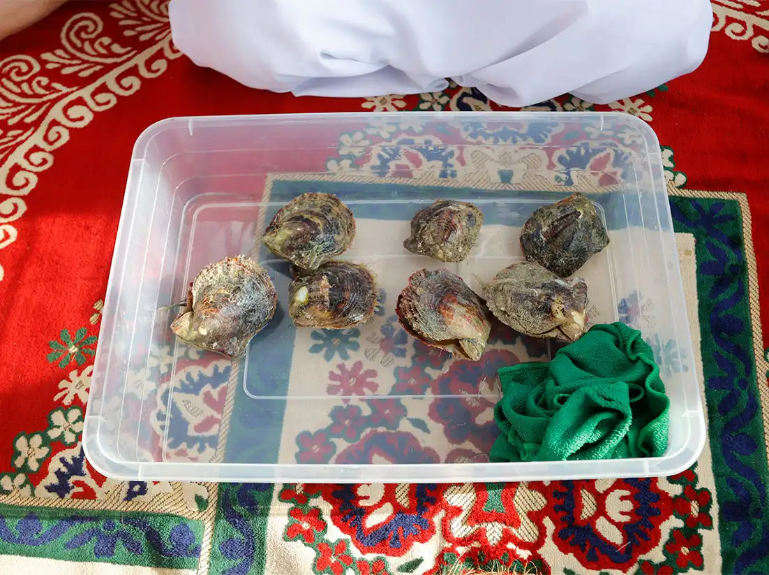 Traditional pearl diving Abu Dhabi