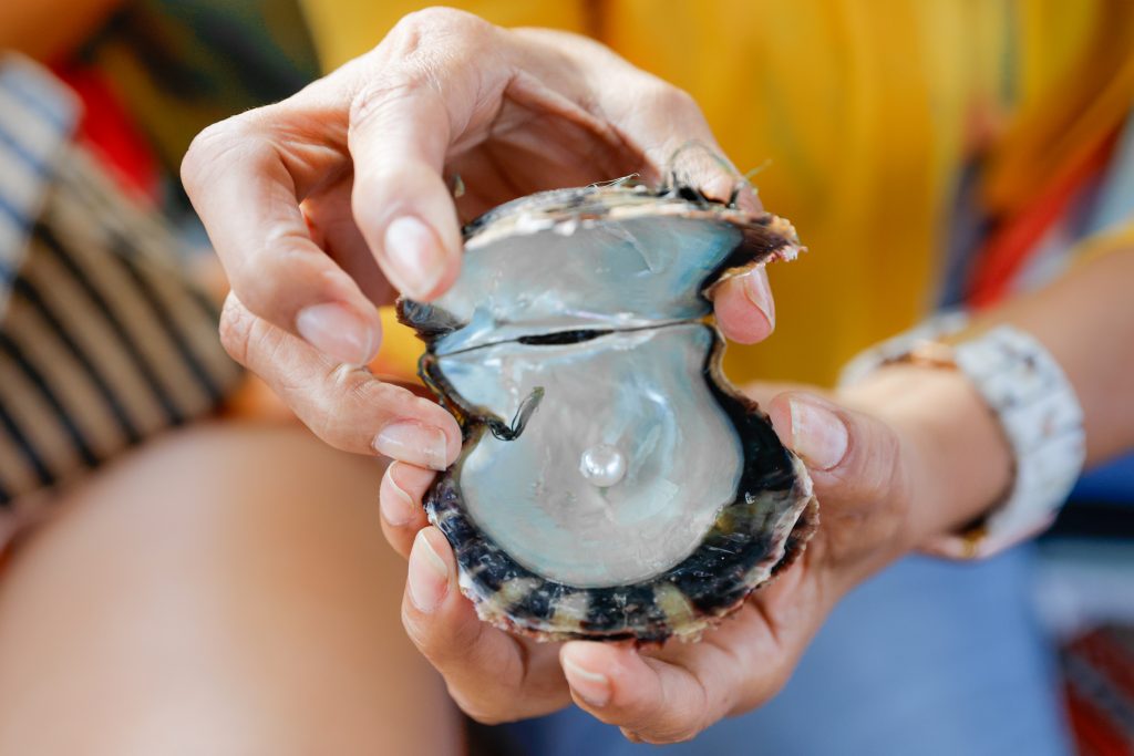 Pearl Diving in Abu Dhabi
